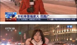 央视女记者爆料案件视频