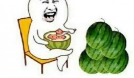 娱乐圈吃瓜必备,揭秘明星幕后故事与八卦风云